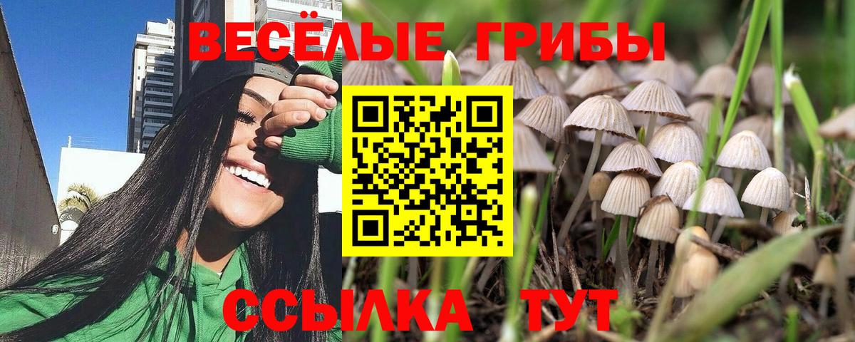 Гусь-Хрустальный  Галлюциногенные грибы мицелий  Вход с VPN  Псилоцибиновые грибы мицелий 